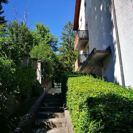 In Centro , Ma A Due Passi Dal Bosco Appartement